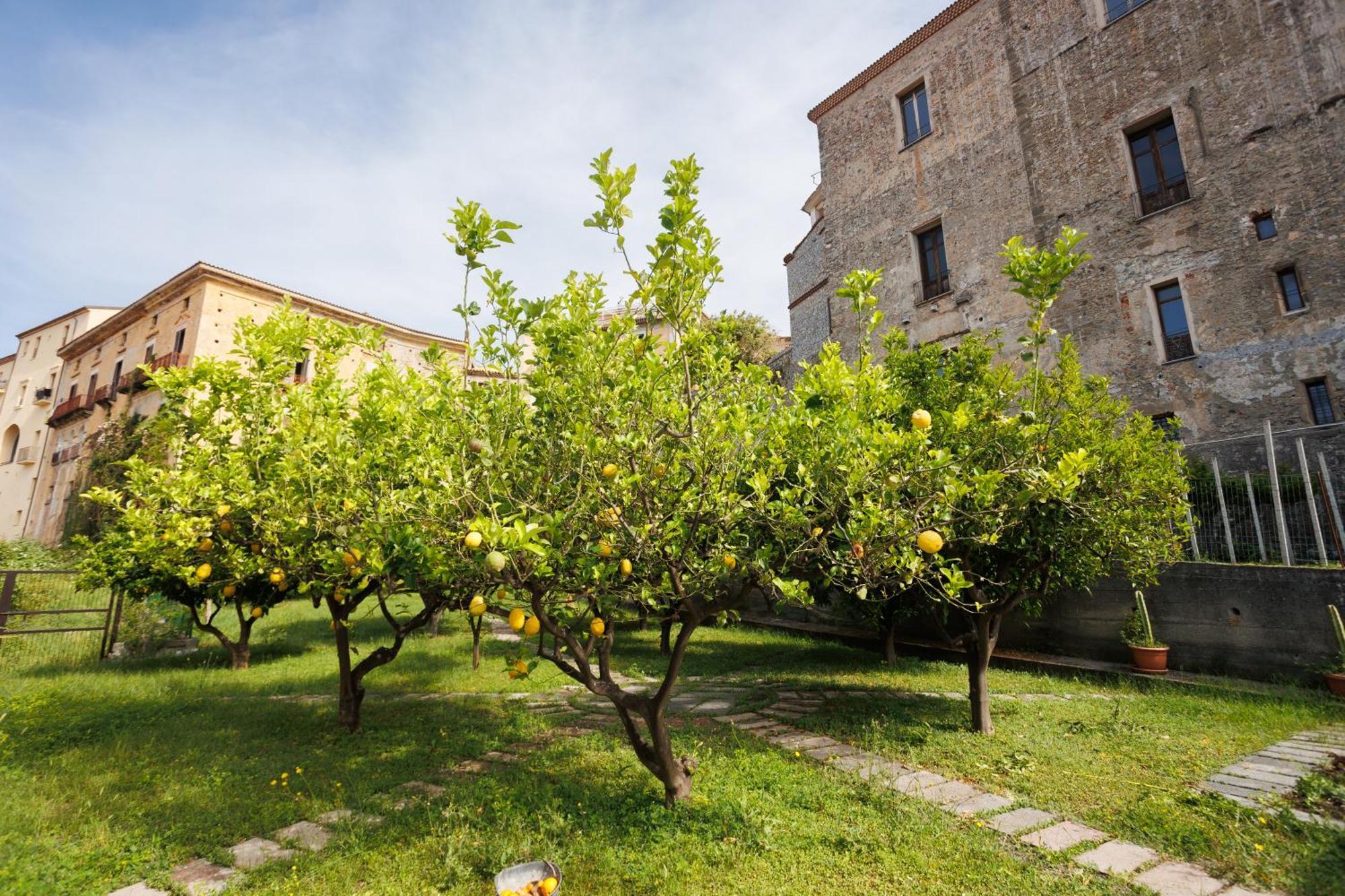 The Lemon Tree House Apartment Scalea Exterior photo