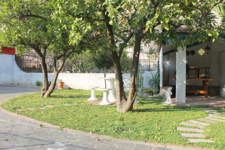 The Lemon Tree House Apartment Scalea Exterior photo
